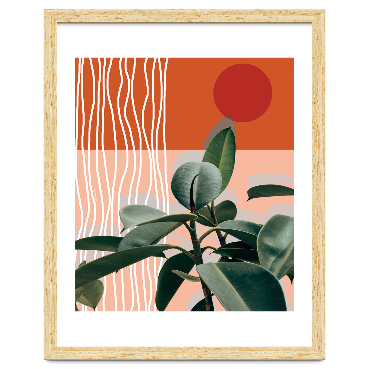 Times of a Growing Plant