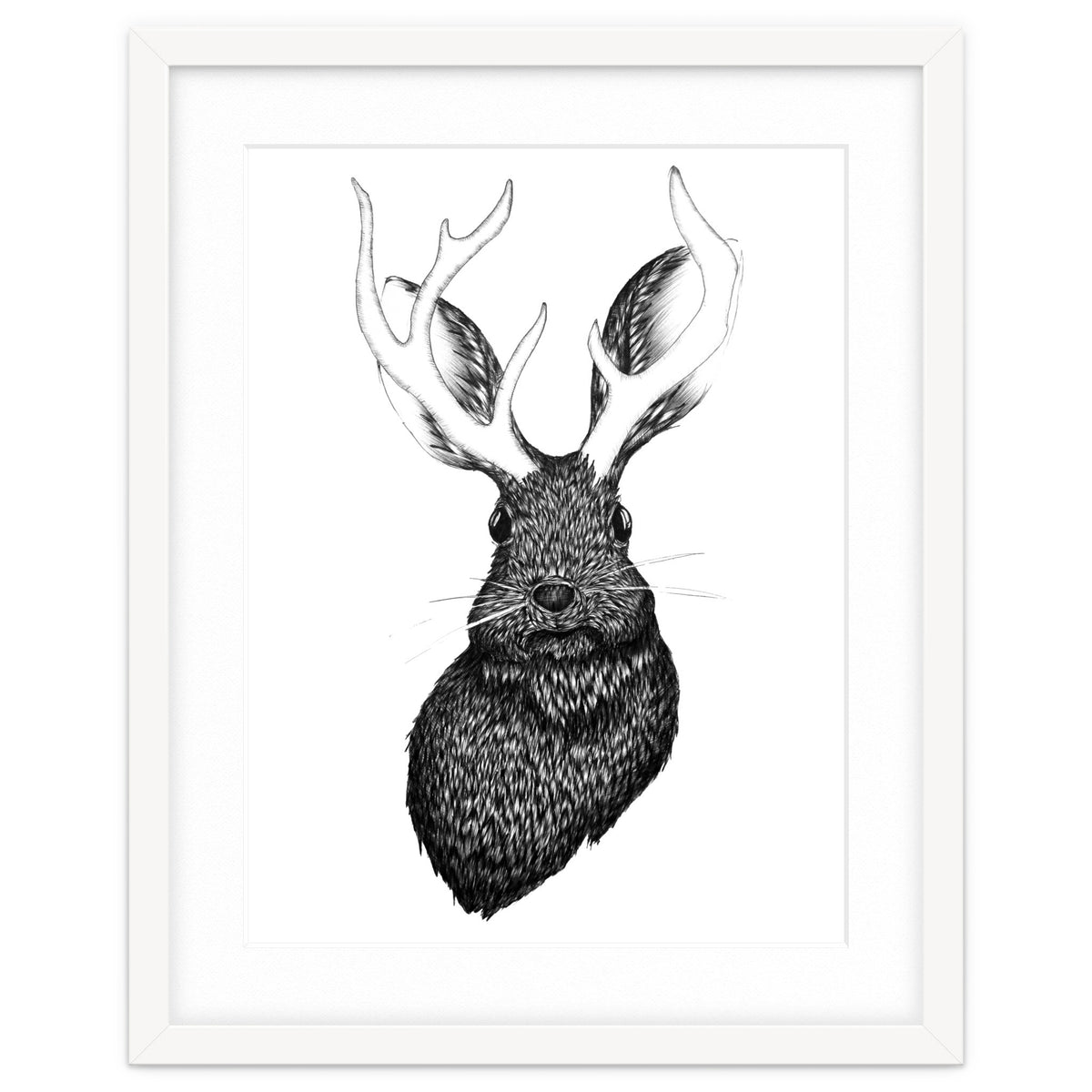 Jackalope