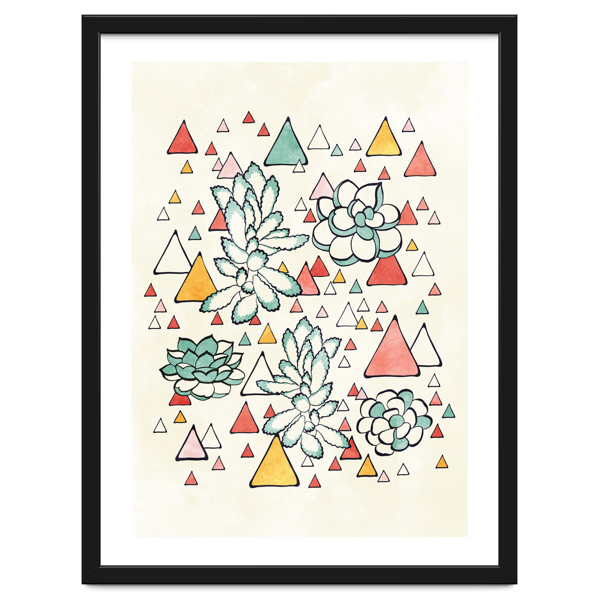 Succulent And Triangles