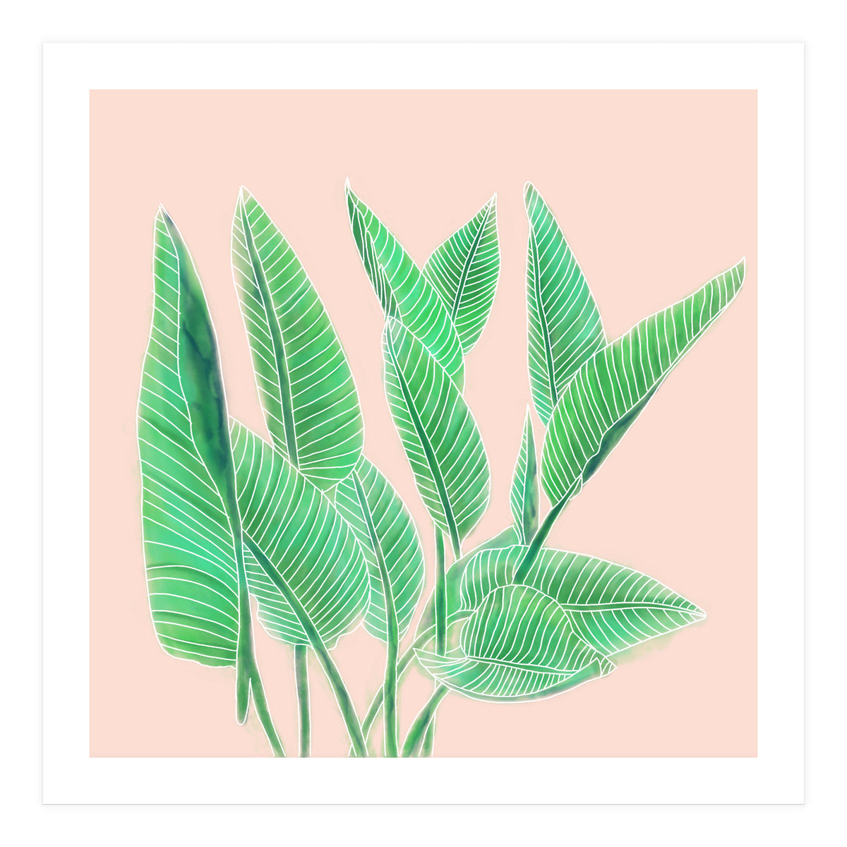Modern Hand Painted Tropical Green Watercolor Leaf Bird Of Paradise On Pastel Pink (Print Only)