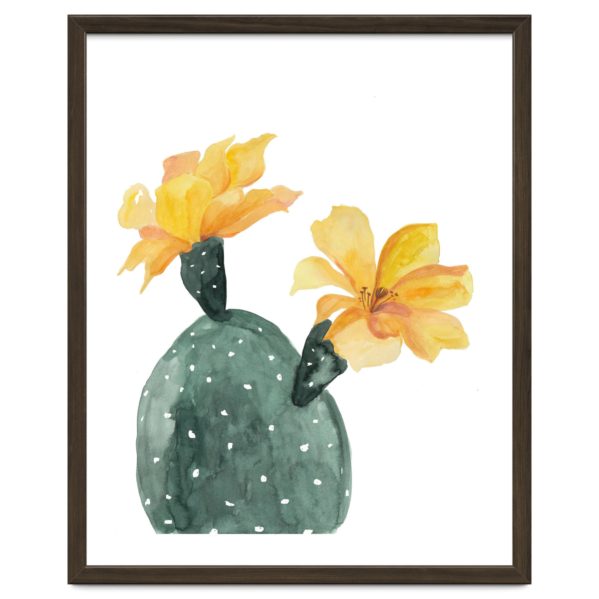 Botanical Illustration Yellow Cactus Flowers