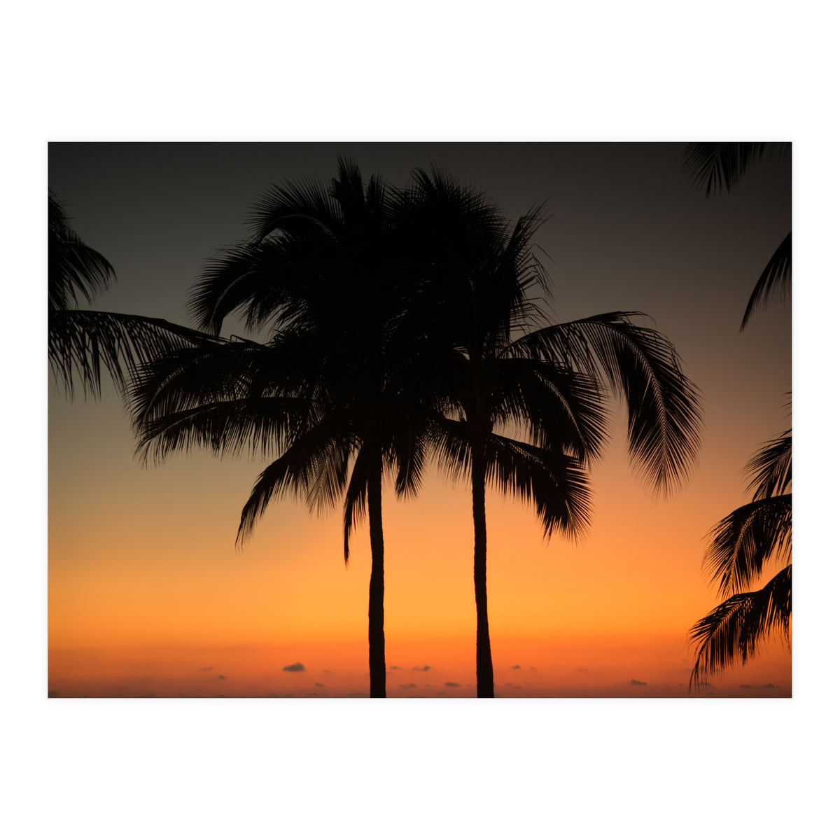 Mexico, November nights (Print Only)