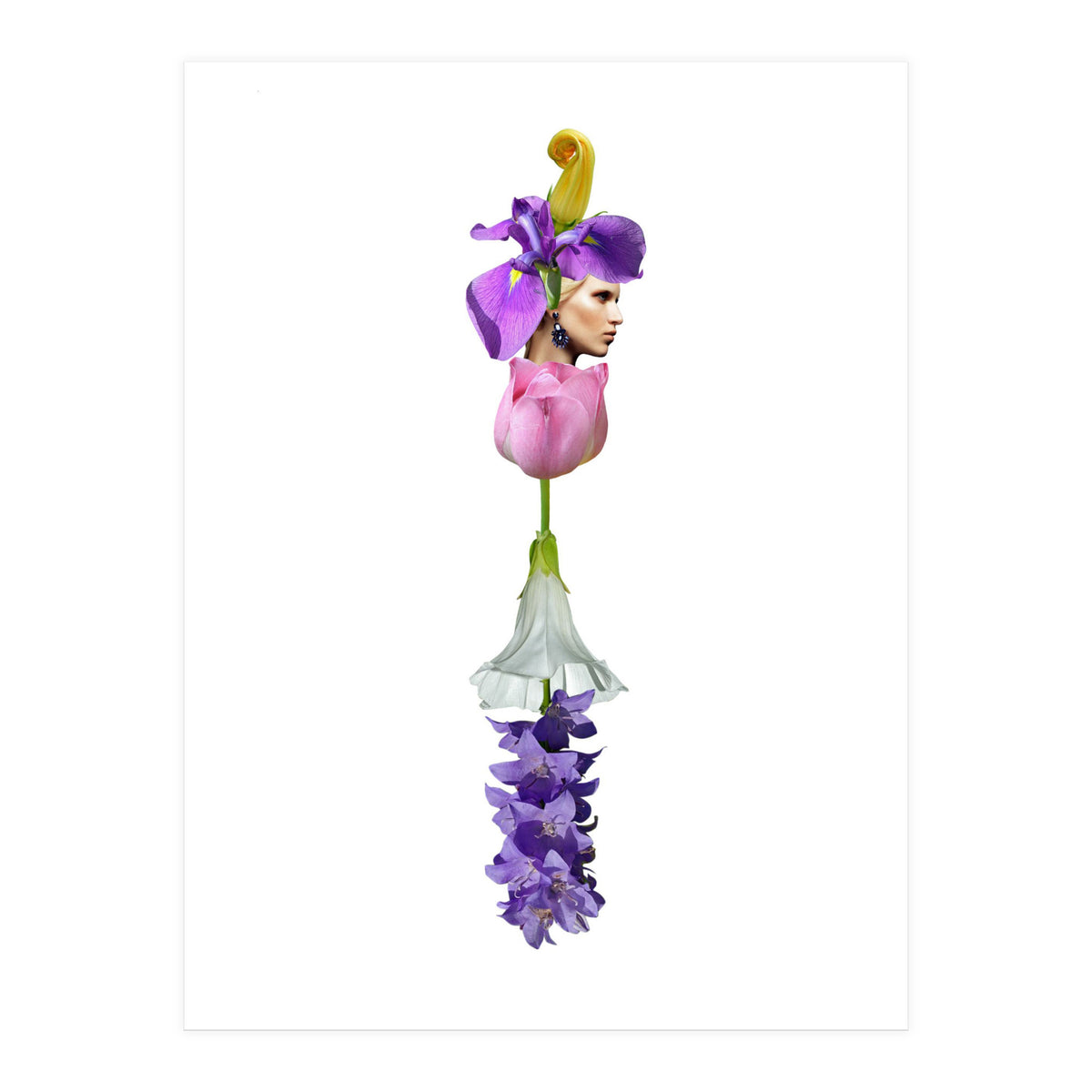 The Flower (Print Only)