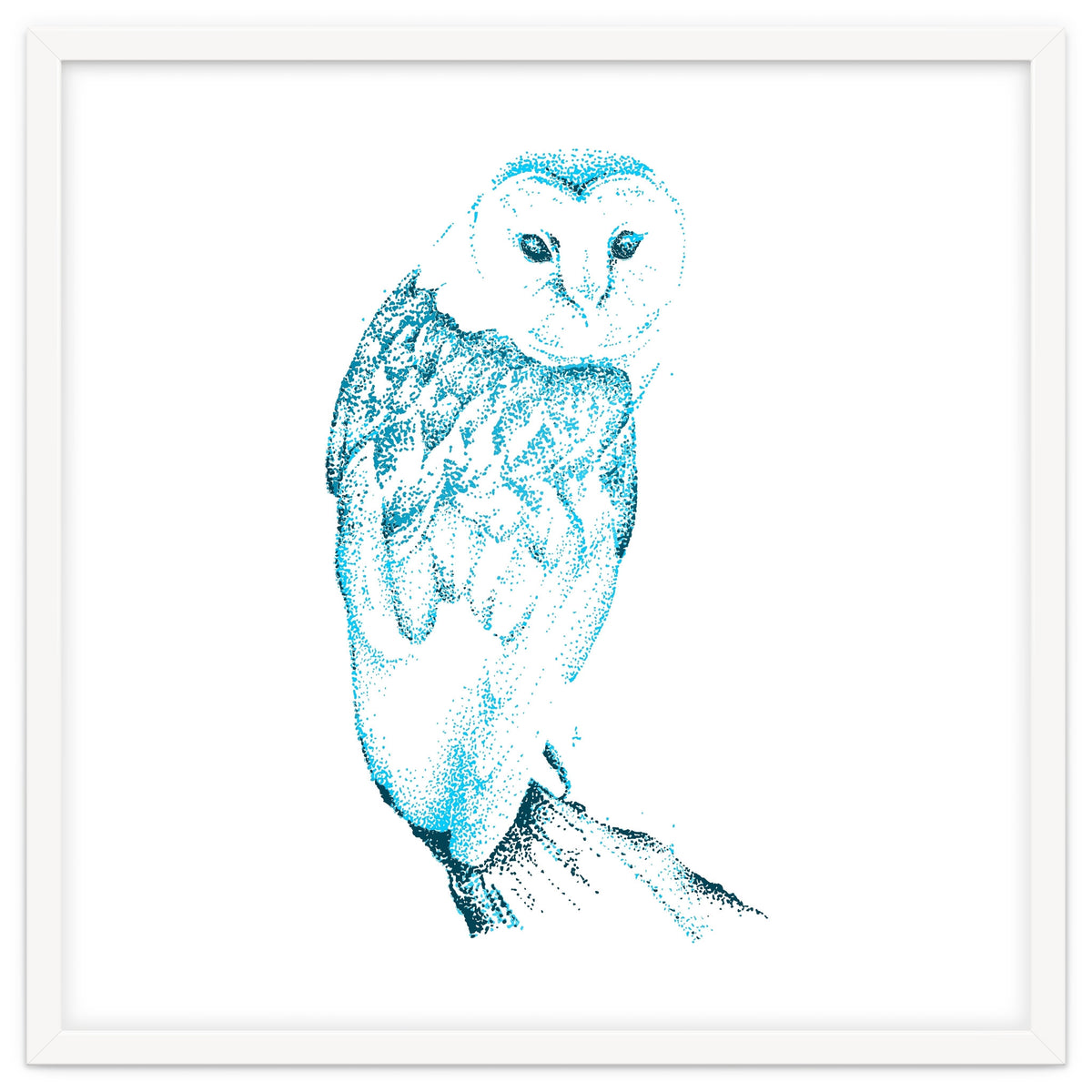 Barn Owl in Teal
