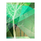 P22 B Trees And Triangles (Print Only) thumbnail