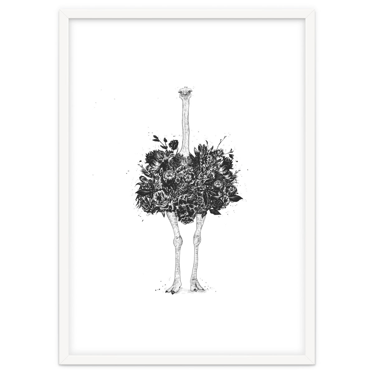 Floral Ostrich