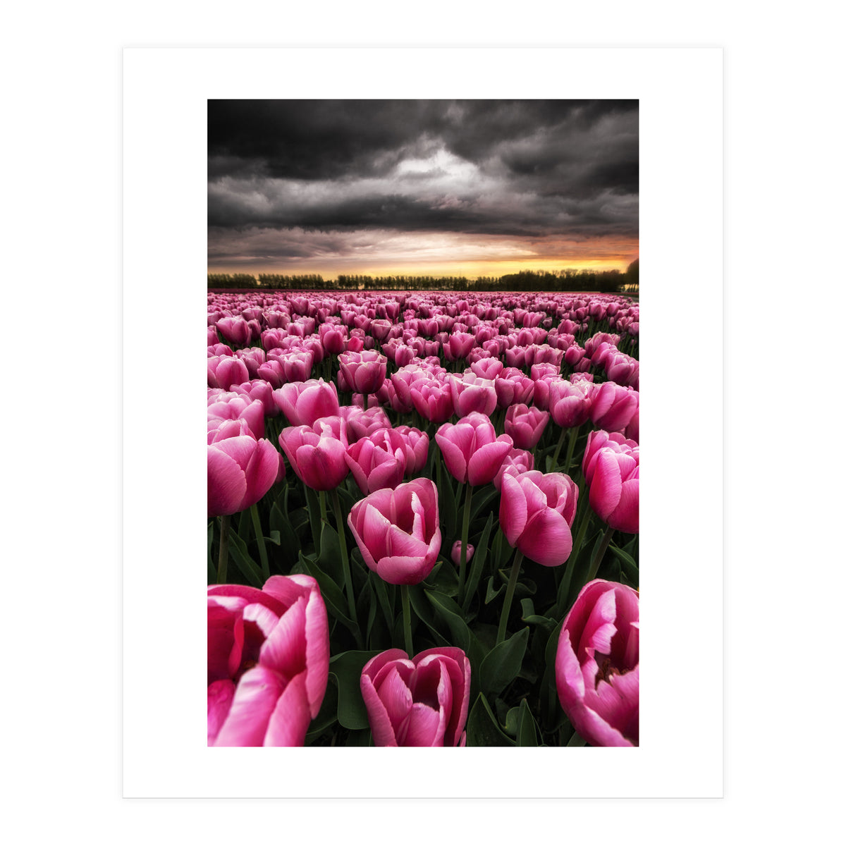 Spring Palette (Print Only)