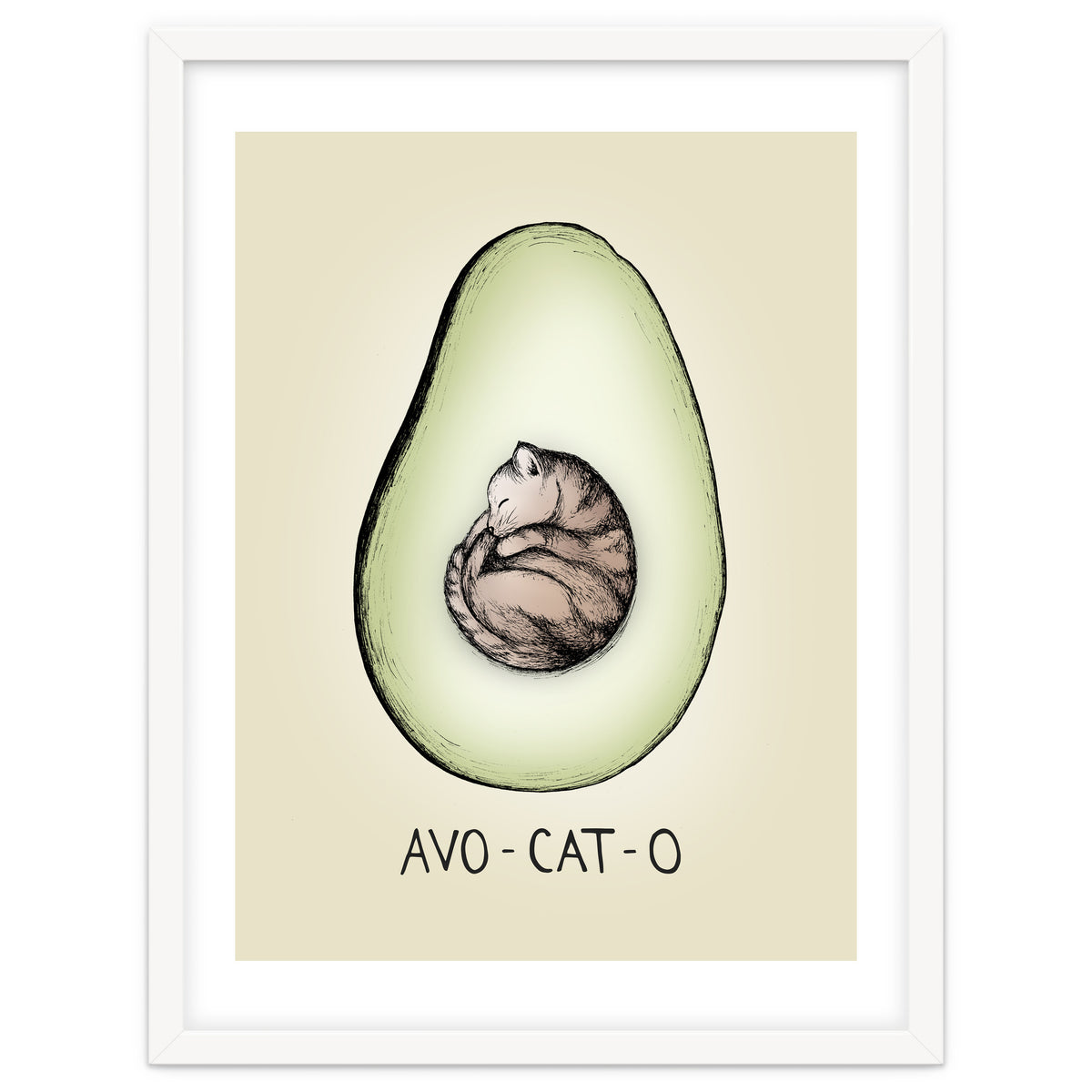 Avo-cat-o