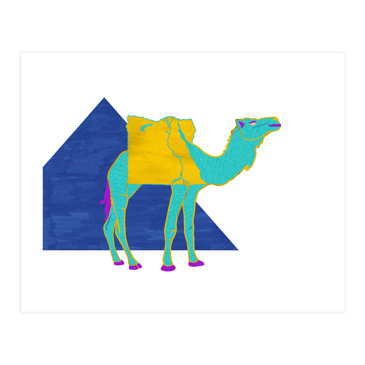 Egyptian Dromedary (Print Only)