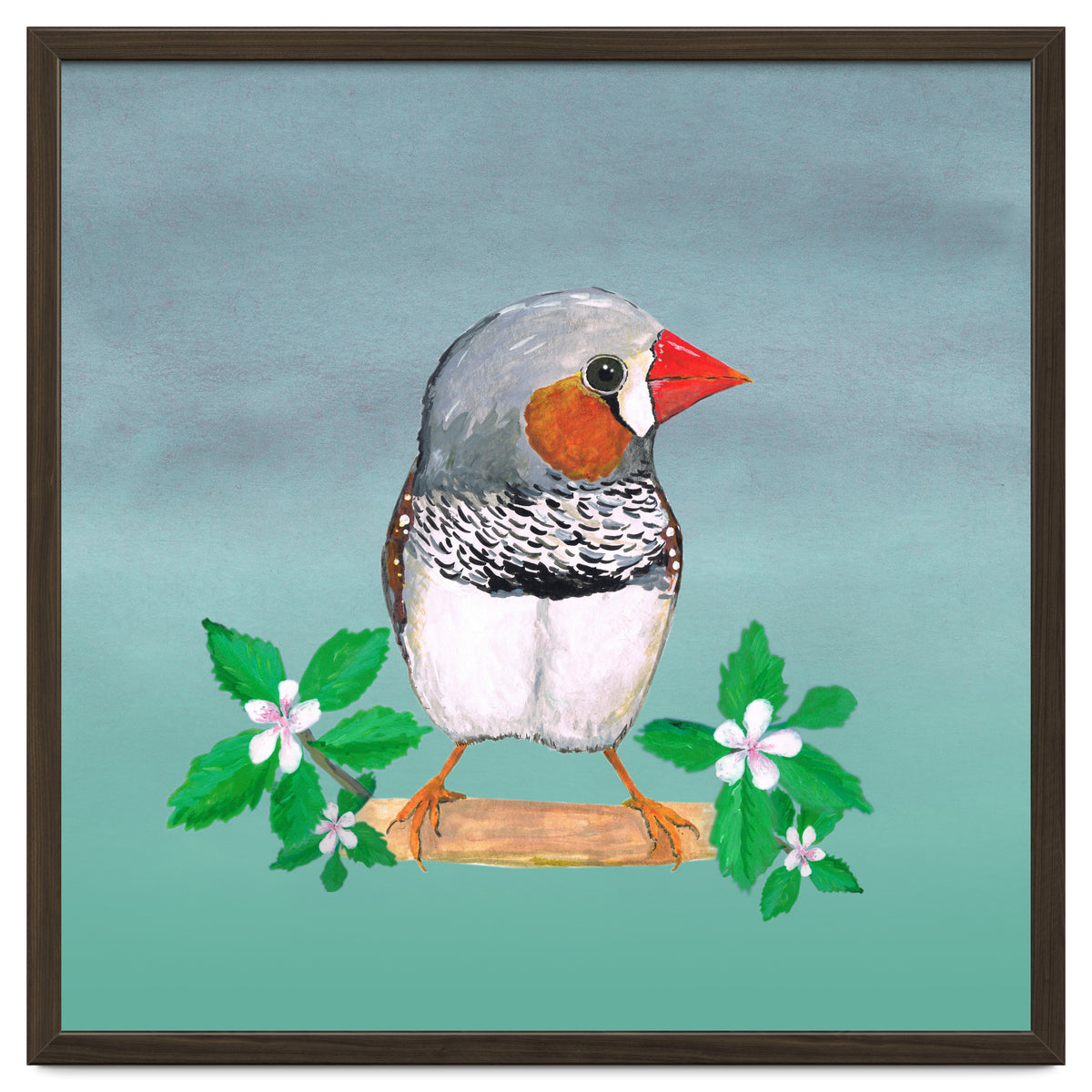 Zebra finch