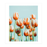 Estelle (Print Only) thumbnail
