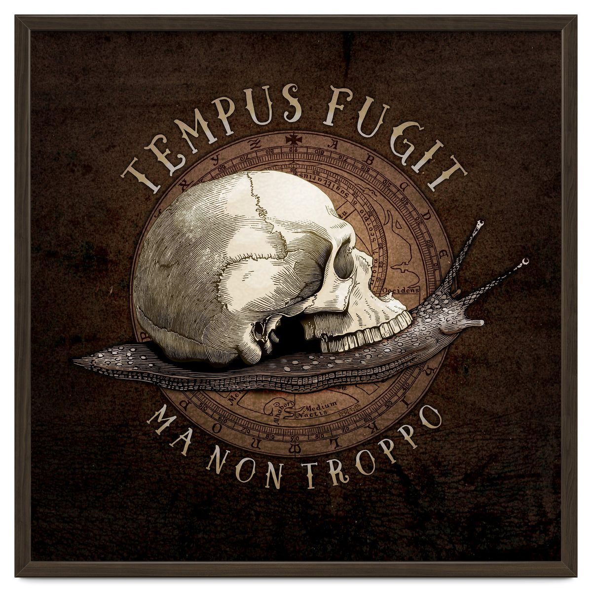 Tempus Fugit (ma non troppo)