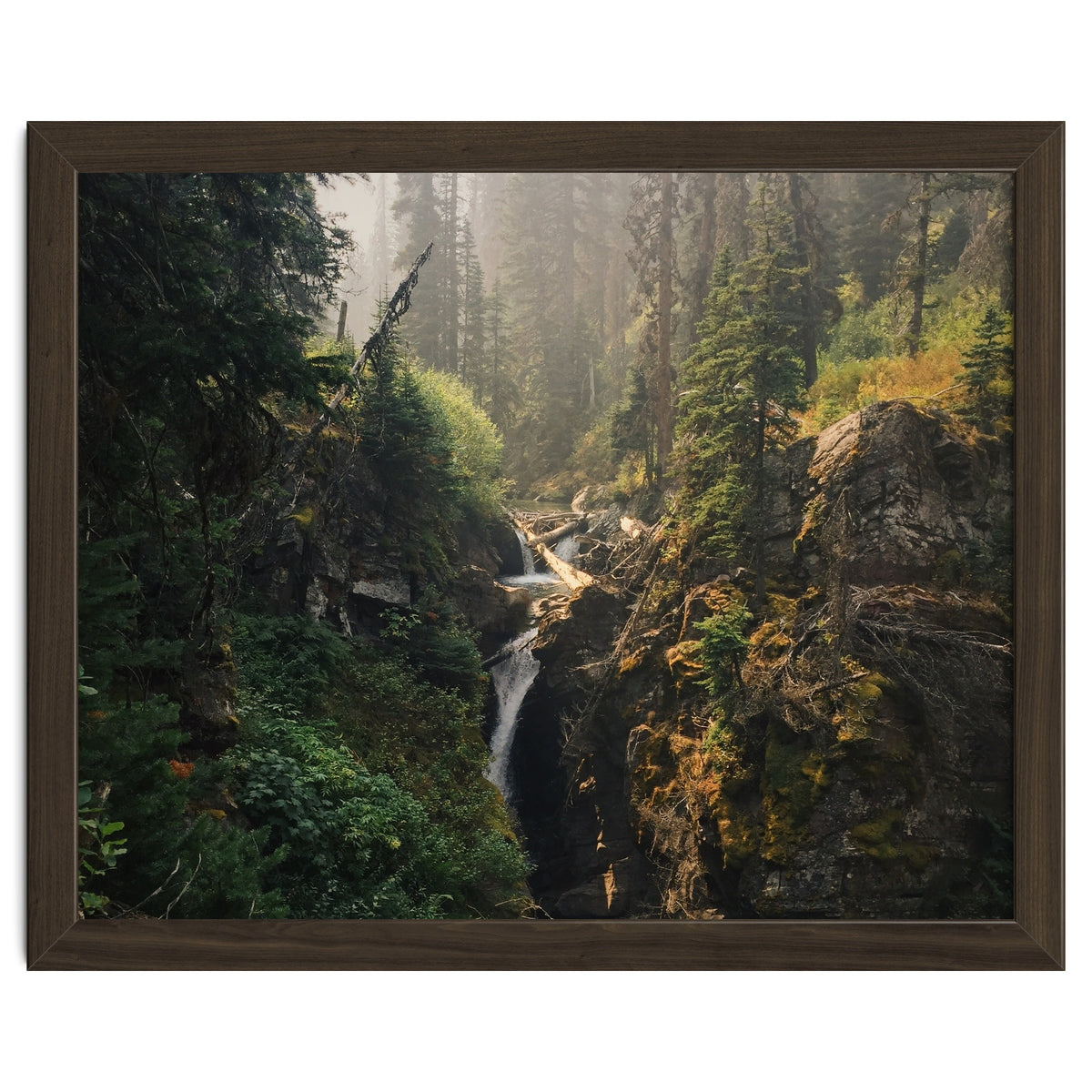 Glacier National Park I