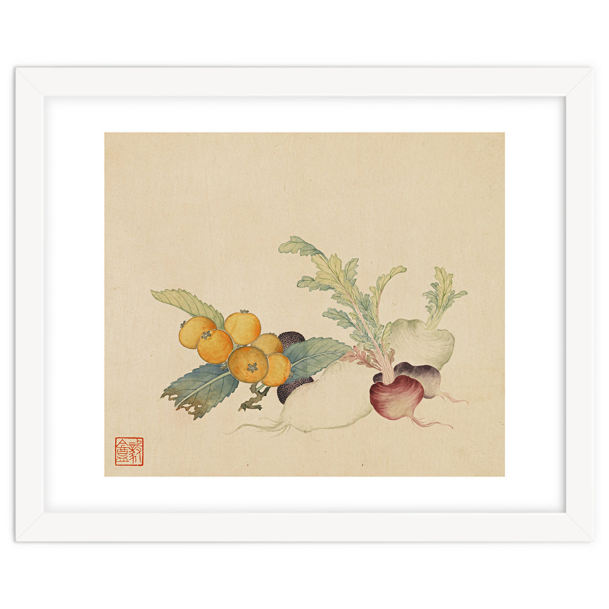 Wang Chengpi~flowers And Vegetables, Vegetables, Fruits, Loquat, White Radish, Carrot, Radish