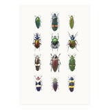 Cc Insects 03 (Print Only) thumbnail