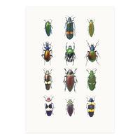 Cc Insects 03 (Print Only)