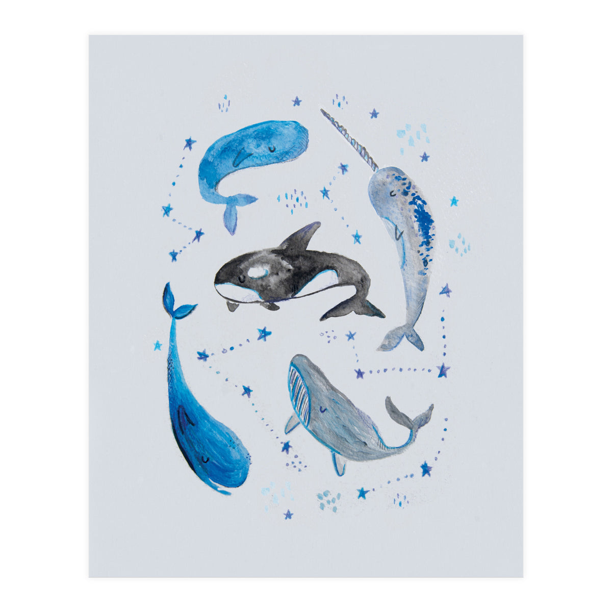 Whales (Print Only)