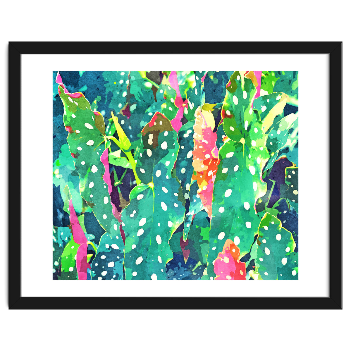 The Polka Dots Plant