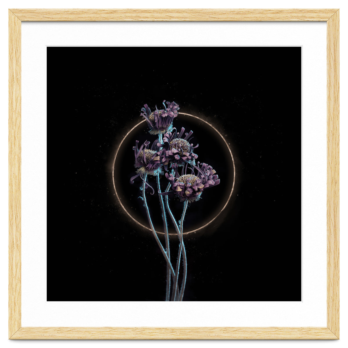 Candy-Coloured Mystery