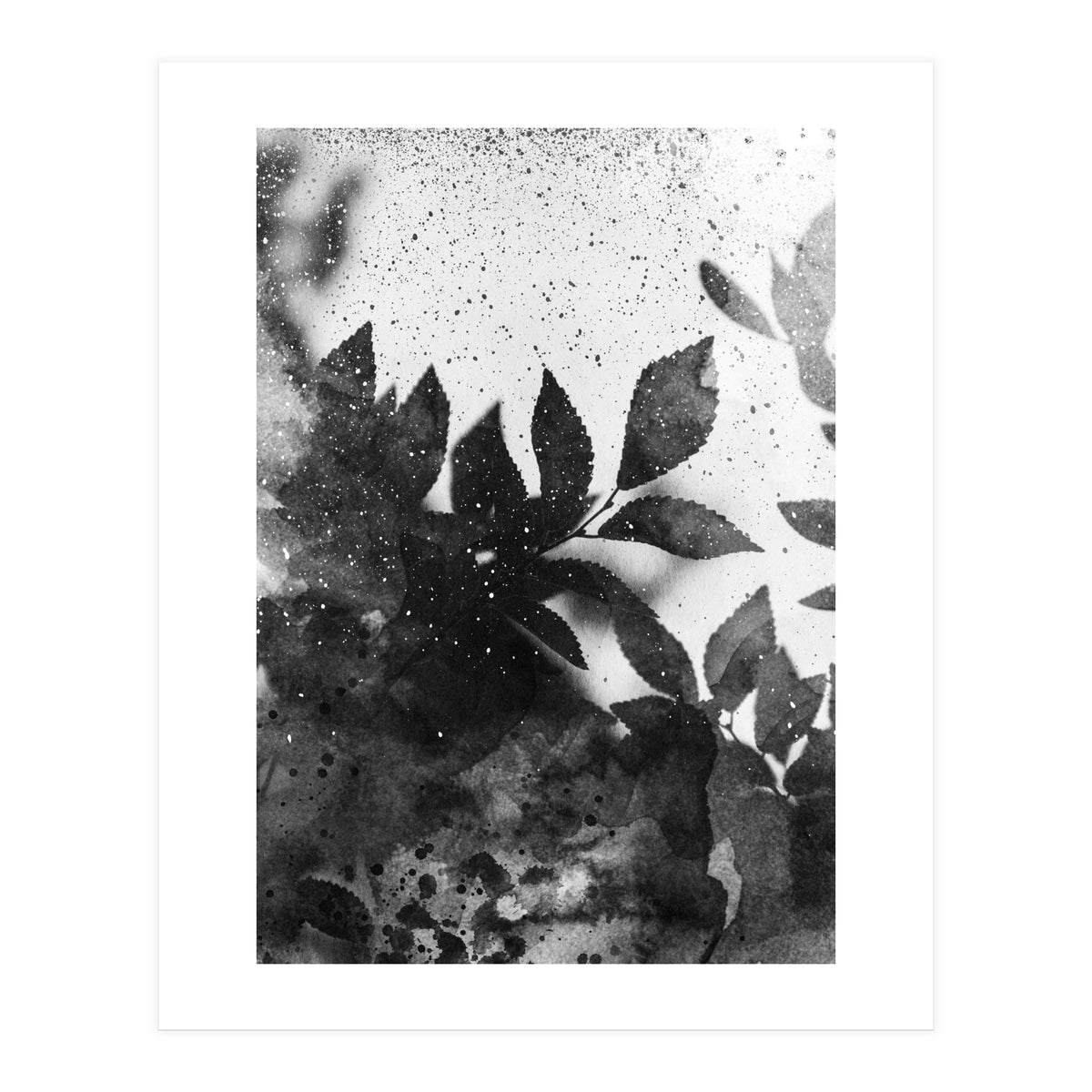 Leaves #1 (Print Only)