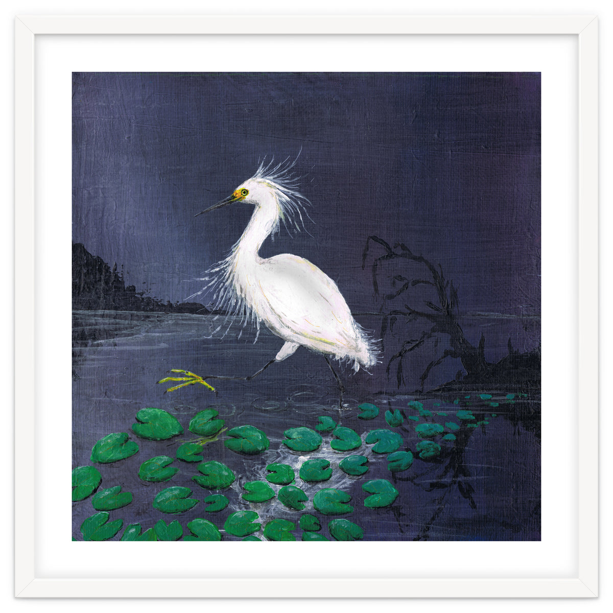 Twilight egret