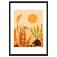 Desert Harvest