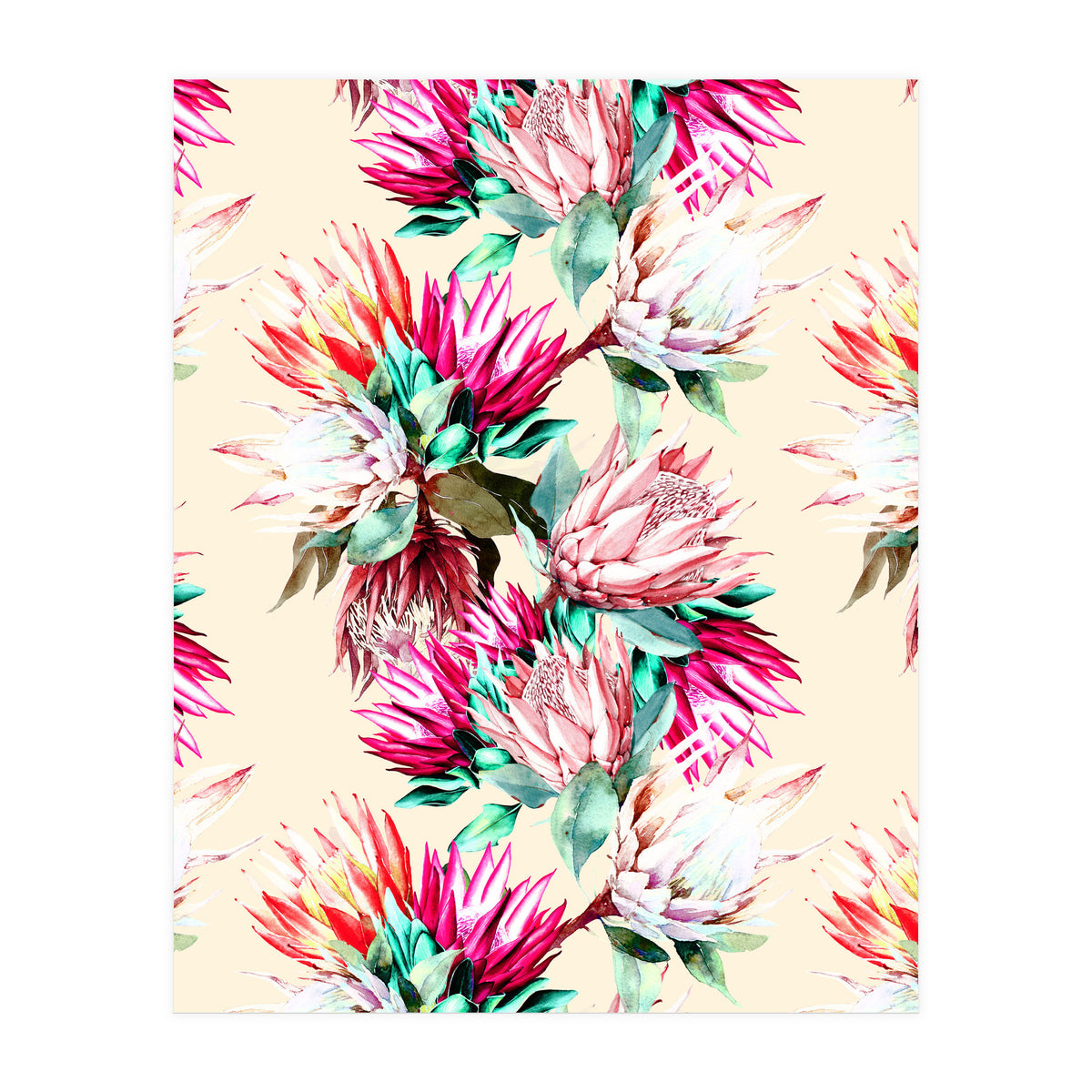 King proteas bloom II (Print Only)