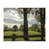 Bucolism 2 (Print Only) thumbnail