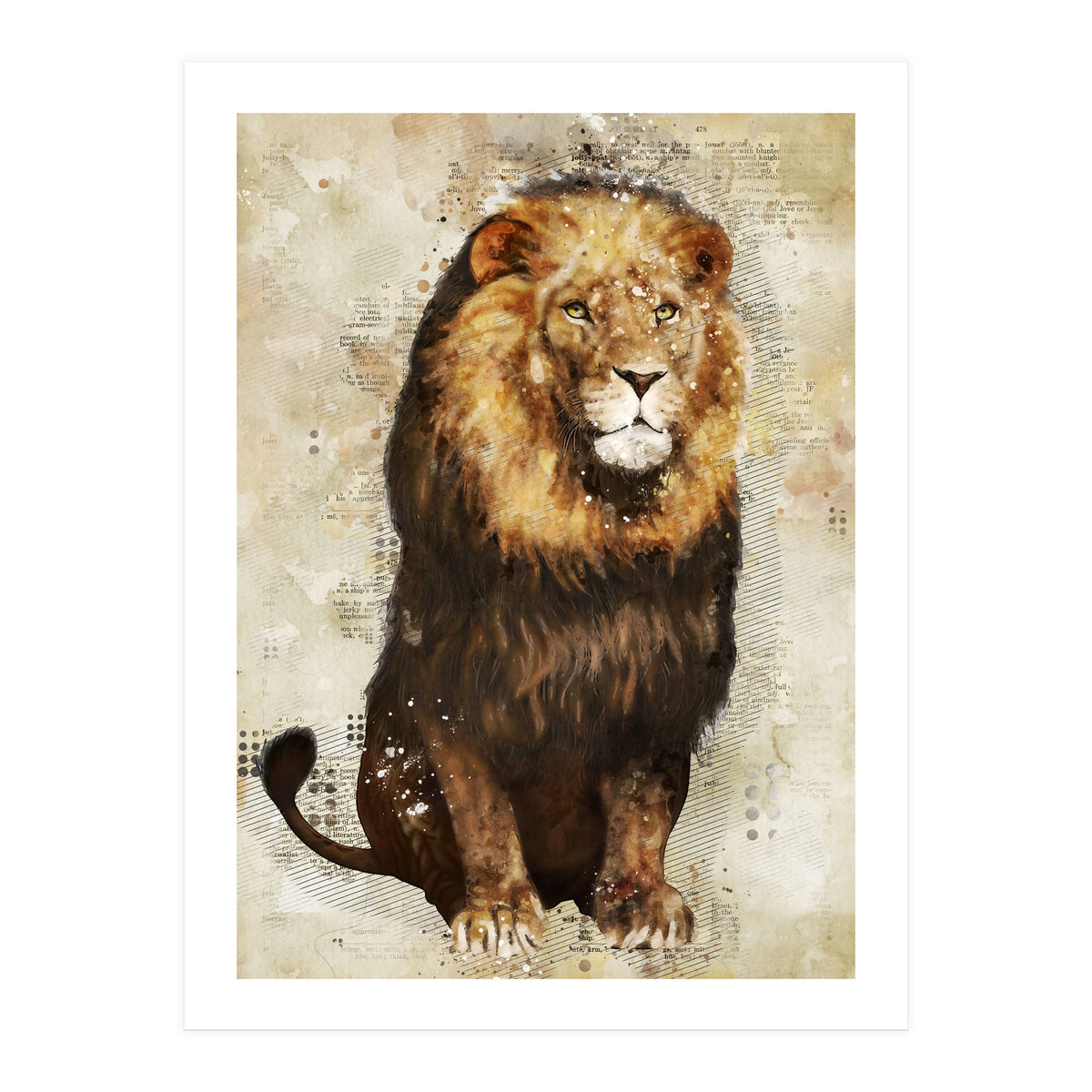 Lion (Print Only)