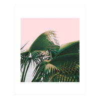 Palm Love (Print Only)