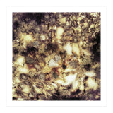 Demolition (Print Only) thumbnail