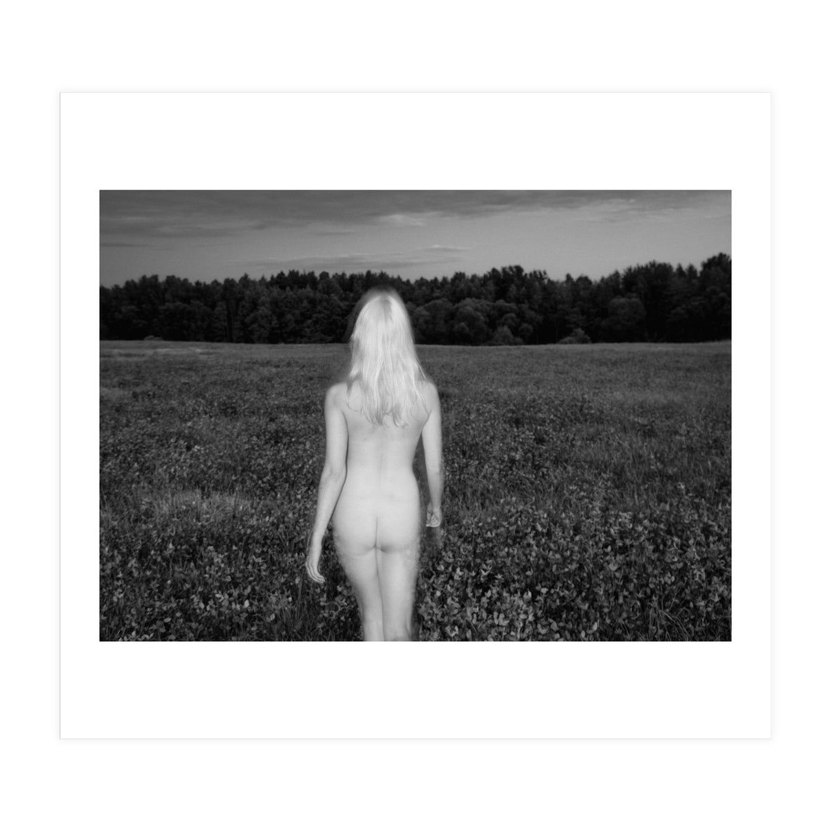 Summer Breeze (Print Only)