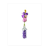 The Flower (Print Only) thumbnail