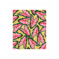 Caladium, Botanical Tropical Nature Plants, Vintage Bohemian Exotic Blush Leaves (Print Only)