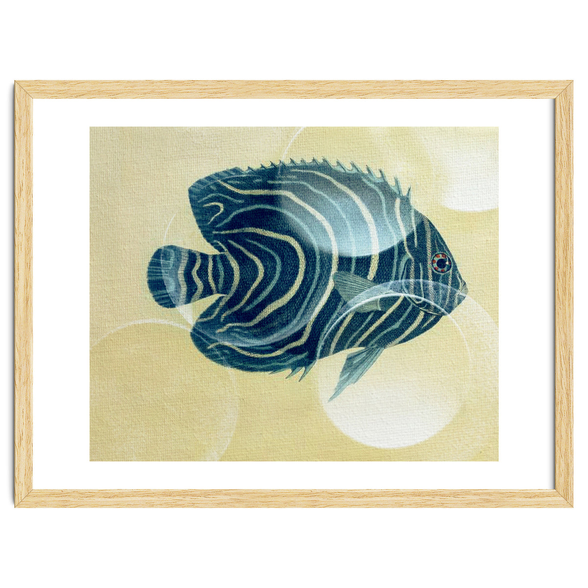 Fish Between Circles