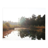 Bog (Print Only) thumbnail