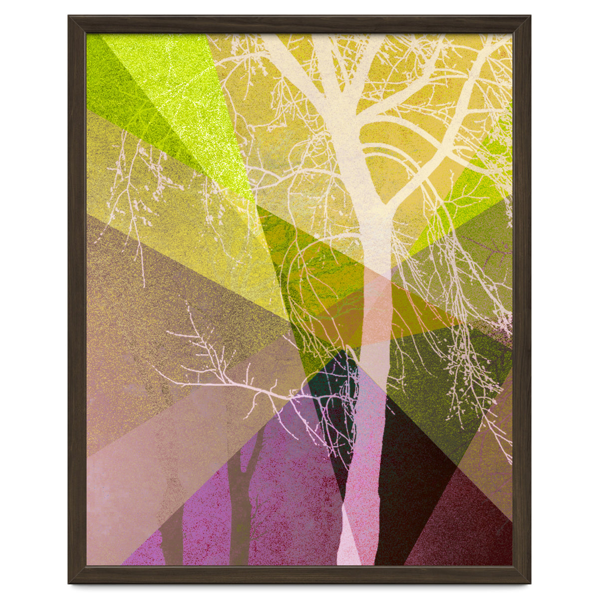 P22 A Trees And Triangles