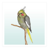 Cute cockatiel 	 (Print Only) thumbnail