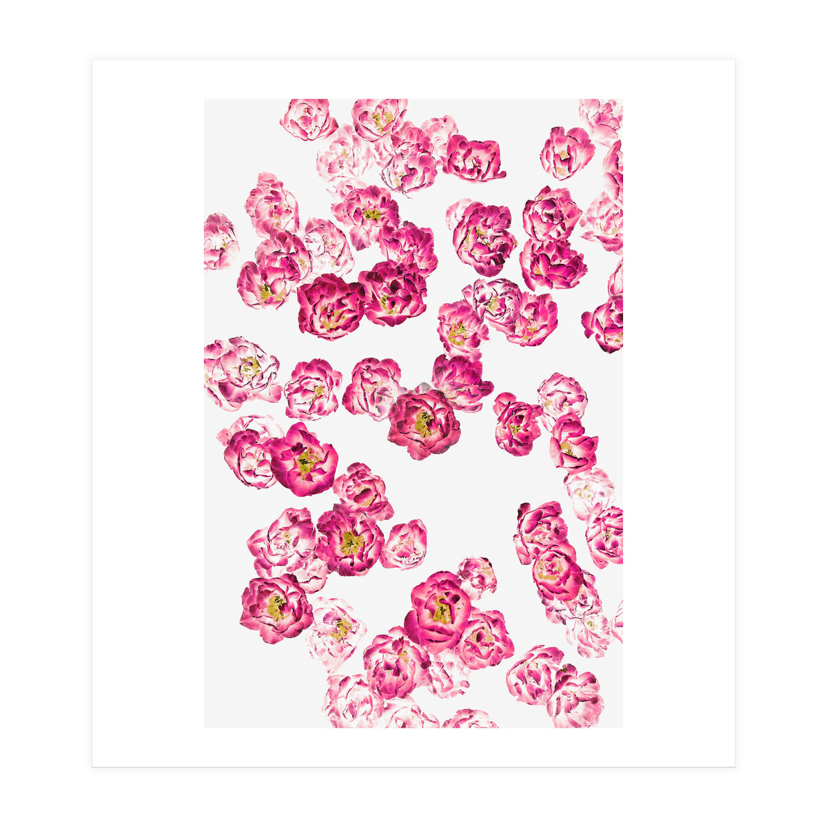 Pink Heaven (Print Only)