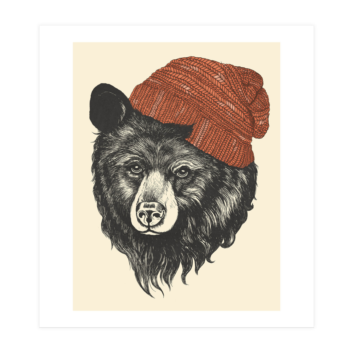 Zissou The Bear (Print Only)