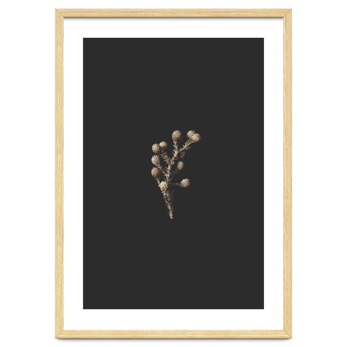 Gold Drops Botanicals