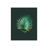 Tropical Palm Leaf 02 (Print Only)