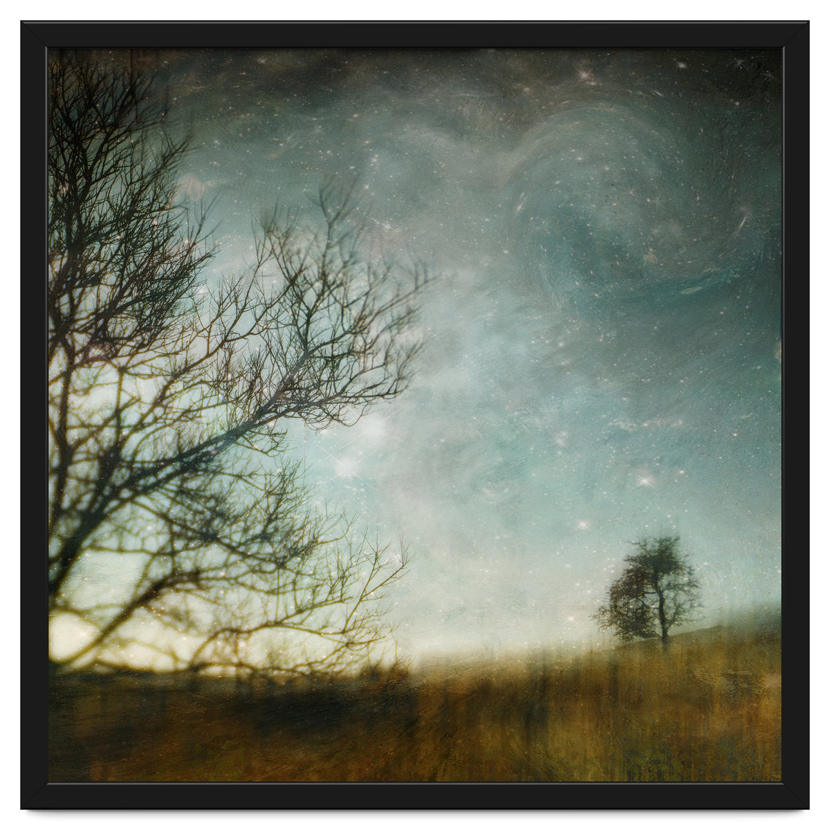 The Tree That Whispered