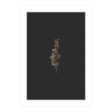 Gold Rush Botanicals (Print Only) thumbnail