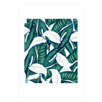 Tropical Winter (Print Only)