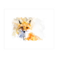 Mr Foxy (Print Only)