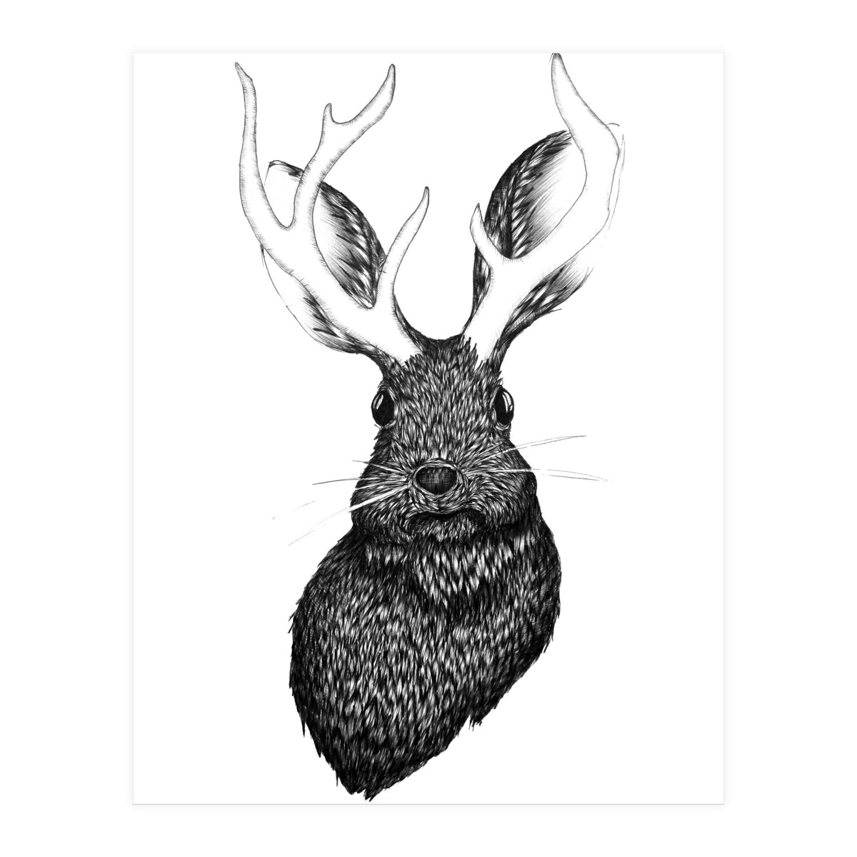 Jackalope  (Print Only)
