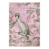 Jungle Cockatoo Pink (Print Only) thumbnail