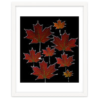 Red Autumn Leaves on Black Ground.