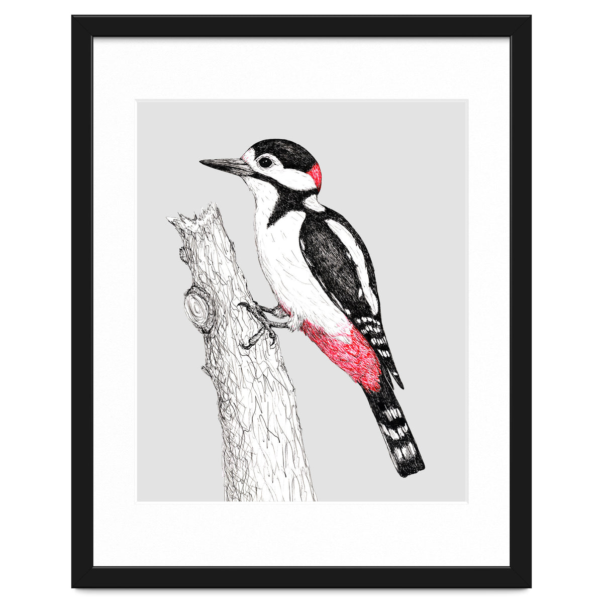 Great spotted woodpecker